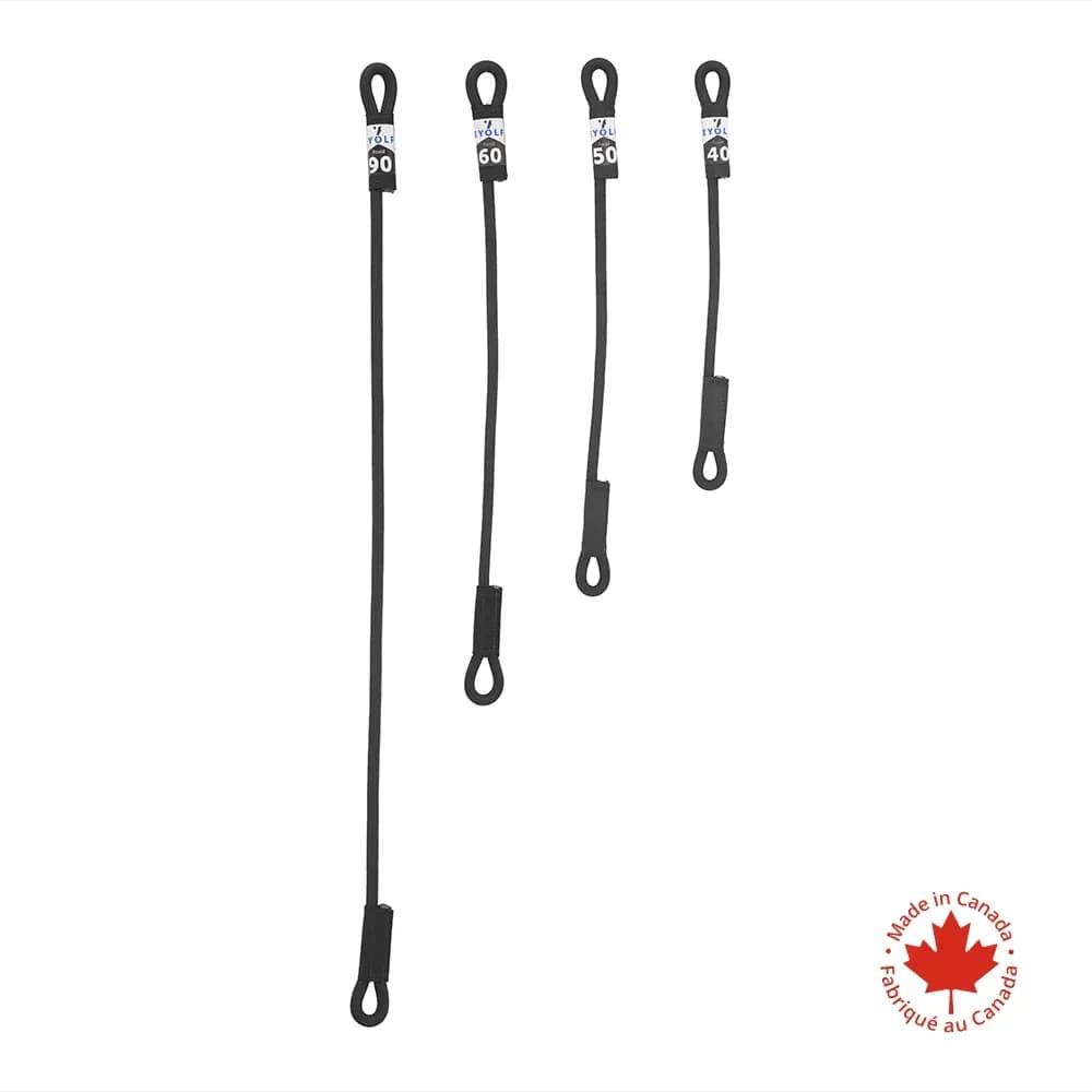 CORDE FOSSIL EYOLF