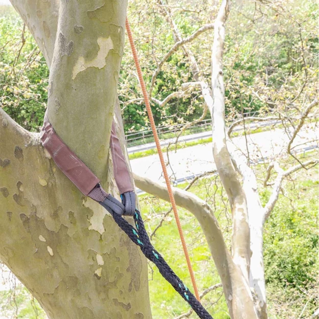 ANCRAGE DE TRONC TREESAVE DE DRAYER – 40 KN