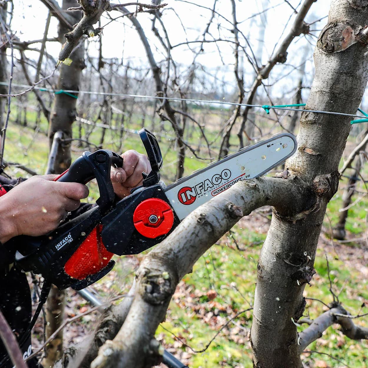 INFACO PW3 CHAINSAW ACCESSORY – PRUNING HEAD