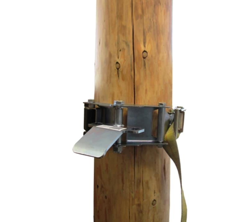 WINCH ANCHORING SYSTEM FOR TREES